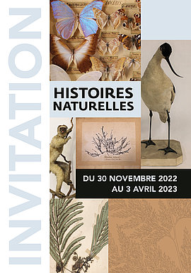 Lire la suite : Exposition – Histoires Naturelles du 30 novembre 2022 prolongée jusqu’au 14 mai 2023 (MAAP)