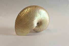 Lire la suite : Les jeudis du musée : Les collections océaniennes (MAAP)