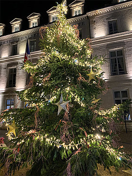 Lire la suite : Festivités de fin d'année : la Ville recherche des sapins