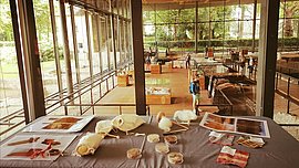 Lire la suite : les jeudis de l’été à Vesunna (Vesunna)