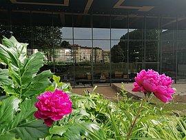 Lire la suite : Horaires modifiés (Vesunna)