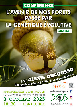 Lire la suite : L’avenir de nos forêts passe par la génétique évolutive