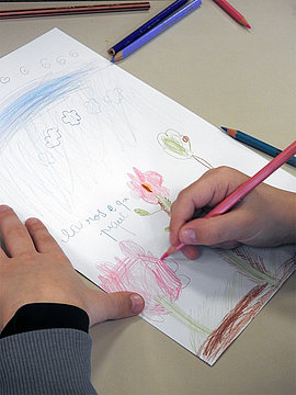 Lire la suite : Herbier de Gamenson (SVAH)