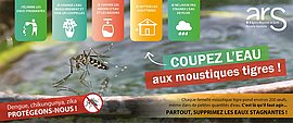 Lire la suite : Une aide financière pour l'achat d'un piège anti-moustique