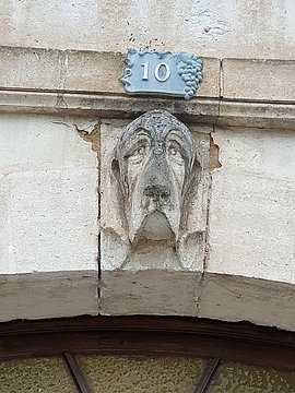 Lire la suite : BALADE « LES ANIMAUX DANS LA VILLE » (SVAH)