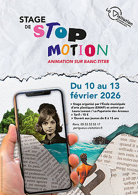 Lire la suite : Stage de stop-motion (Centre culturel de la Visitation)