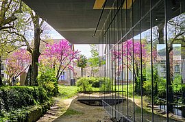 Lire la suite : Plan Rouge Canicule : Fermeture exceptionnelle du musée (Vesunna)