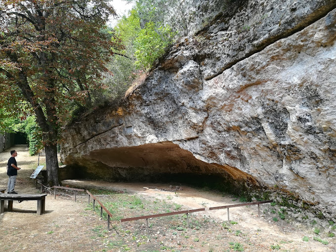 Découvrir : Les jeudis du musée : Les secrets de l’abri de Cro-Magnon : dernières actualités (MAAP)