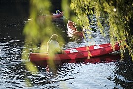 Lire la suite : Autour de la rivière