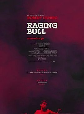 Lire la suite : Soirée Ciné-Auteur : "Raging Bull" de Martin Scorsese
