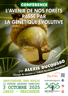 Lire la suite : L’avenir de nos forêts passe par la génétique évolutive