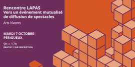 Lire la suite : Rencontre avec LAPAS, vers un évènement mutualisé de diffusion de spectacles