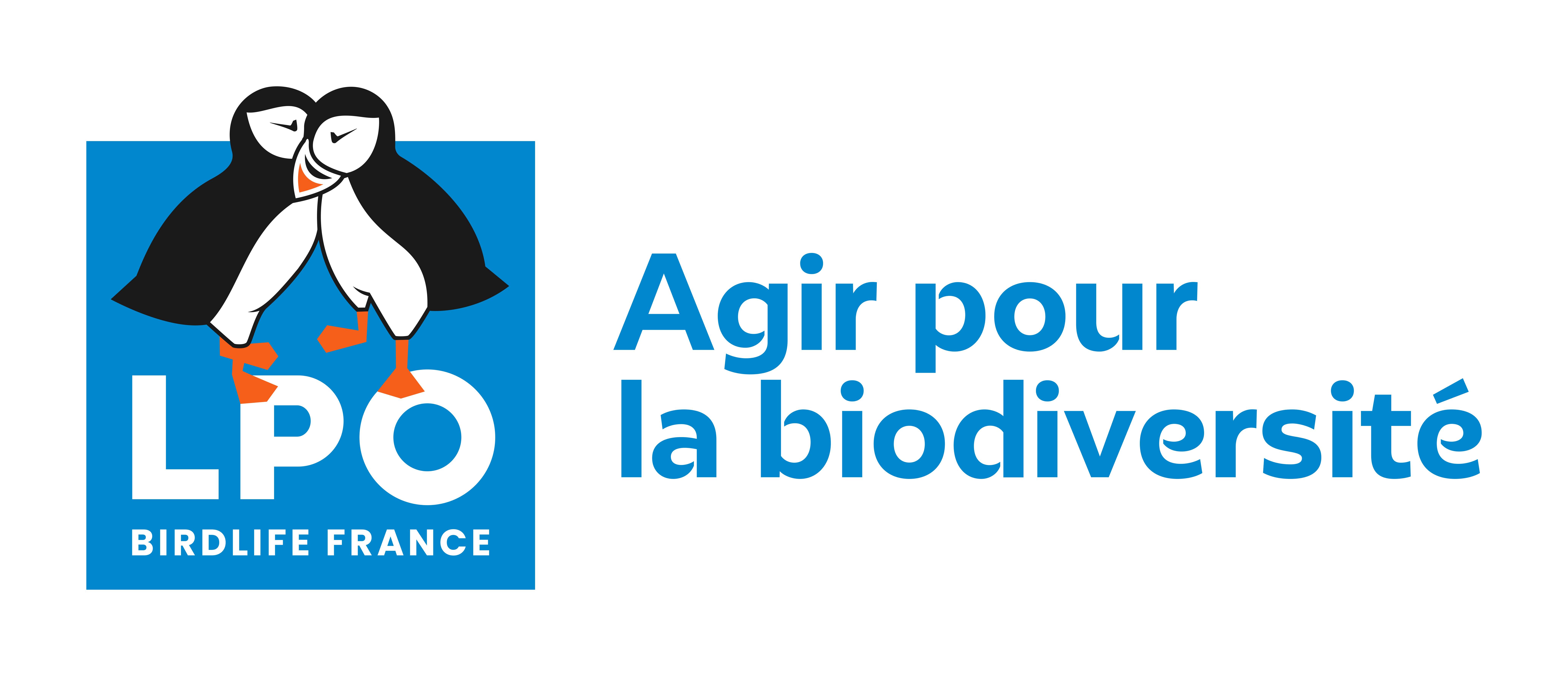 Découvrir : Sortie papillons avec la LPO